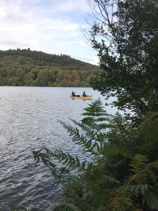 Forest View - Castlewellan, County Down Belfast Exteriör bild