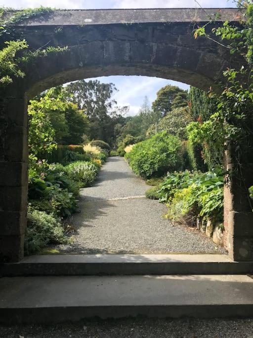 Forest View - Castlewellan, County Down Belfast Exteriör bild