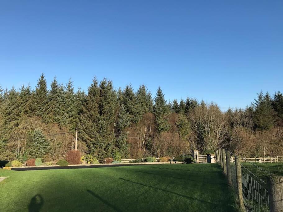 Forest View - Castlewellan, County Down Belfast Exteriör bild