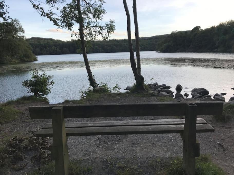 Forest View - Castlewellan, County Down Belfast Exteriör bild
