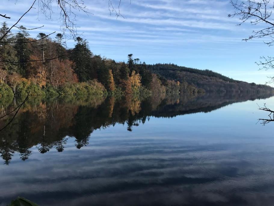 Forest View - Castlewellan, County Down Belfast Exteriör bild