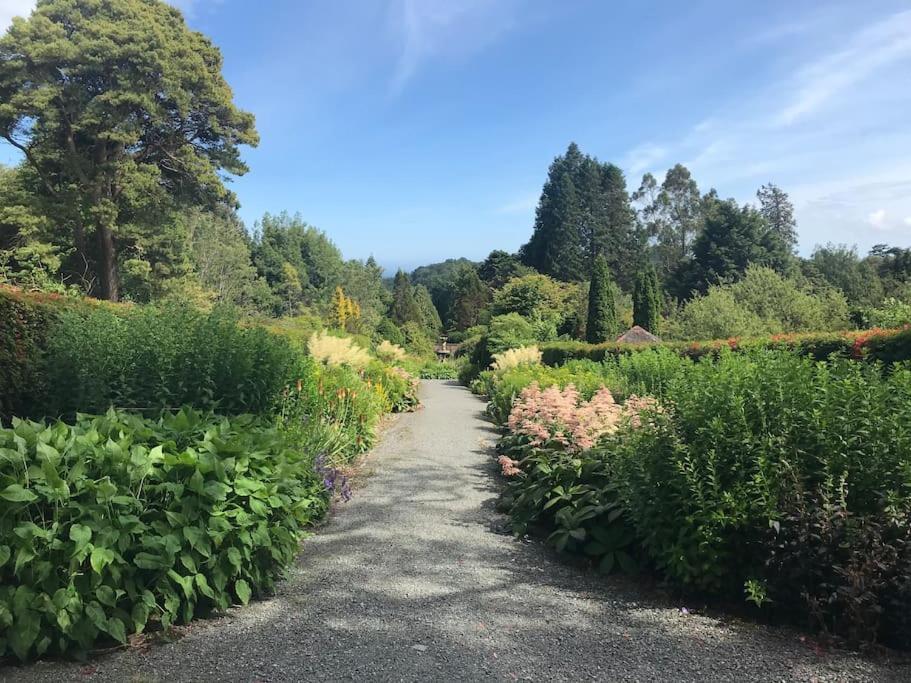 Forest View - Castlewellan, County Down Belfast Exteriör bild